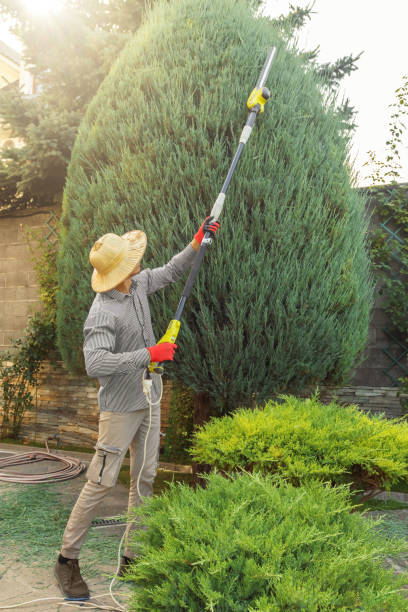 Lawn Grading and Leveling in Perth Amboy, NJ